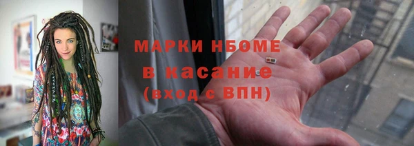 гашик Алексин