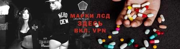 гашик Алексин