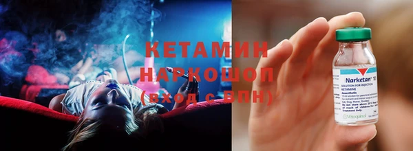 гашик Алексин