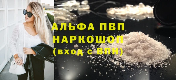 гашик Алексин