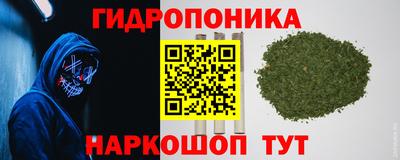 метадон Можга