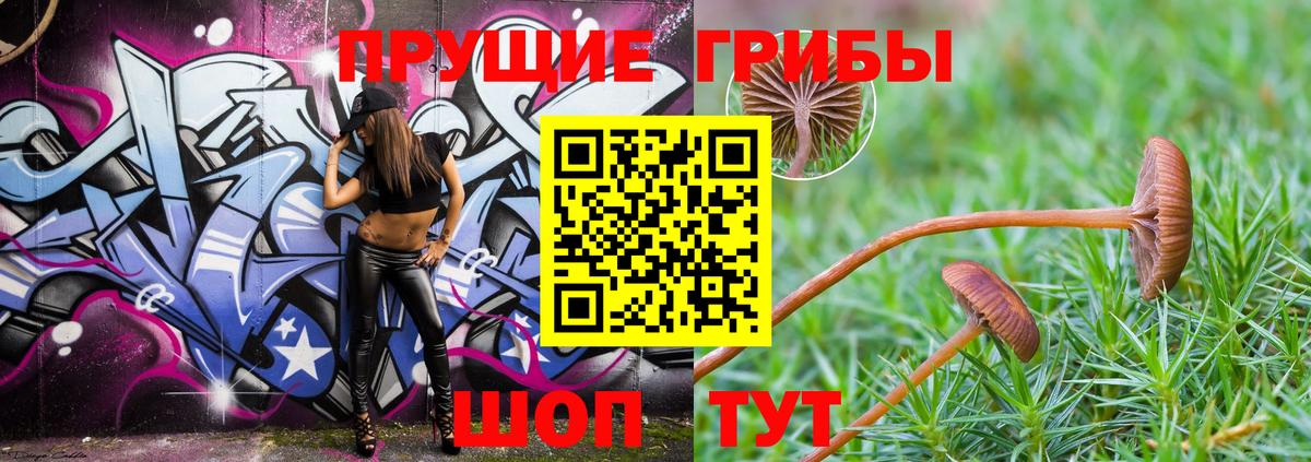 Ухта  Галлюциногенные грибы мицелий  Вход с VPN  Галлюциногенные грибы Magic Shrooms 